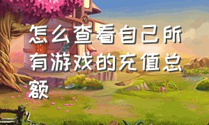 怎么查看自己所有游戏的充值总额