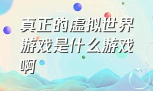 真正的虚拟世界游戏是什么游戏啊（进入虚拟世界的游戏未来会有吗）