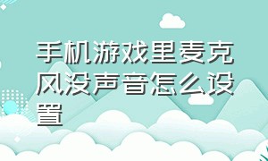 手机游戏里麦克风没声音怎么设置（手机游戏里麦克风没声音怎么设置回来）