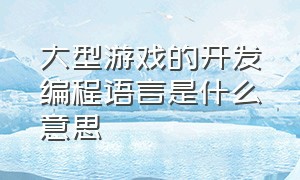 大型游戏的开发编程语言是什么意思（大型游戏的开发编程语言是什么意思呀）