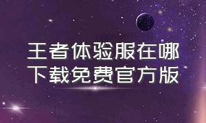 王者体验服在哪下载免费官方版