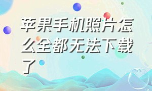 苹果手机照片怎么全都无法下载了