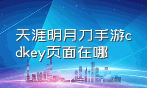 天涯明月刀手游cdkey页面在哪（天涯明月刀手游身份商店在哪）