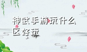 神武手游玩什么区好玩