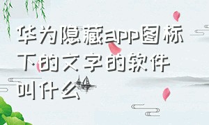 华为隐藏app图标下的文字的软件叫什么（华为隐藏app图标下的文字的软件叫什么）