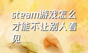 steam游戏怎么才能不让别人看见