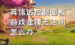 英伟达控制面板游戏滤镜无法用怎么办