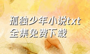 孤独少年小说txt全集免费下载（孤独仰望星空小说txt全集下载）