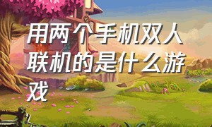 用两个手机双人联机的是什么游戏