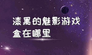 漆黑的魅影游戏盒在哪里