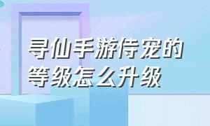 寻仙手游侍宠的等级怎么升级