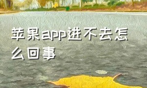 苹果app进不去怎么回事