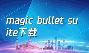 magic bullet suite下载