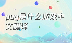 pug是什么游戏中文翻译（pubg端游怎么变成英文了）