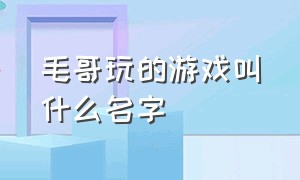 毛哥玩的游戏叫什么名字