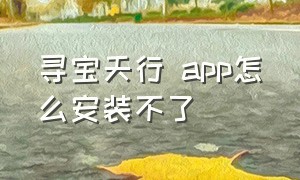 寻宝天行 app怎么安装不了（寻宝天行 app怎么安装不了了）