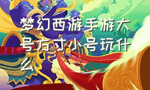 梦幻西游手游大号方寸小号玩什么