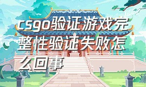 csgo验证游戏完整性验证失败怎么回事