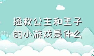 拯救公主和王子的小游戏是什么