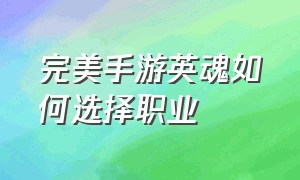 完美手游英魂如何选择职业（完美手游寰宇队伍先打哪个职业）