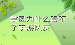 掌盟为什么看不了手游队友