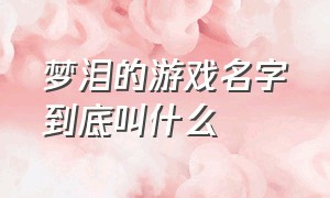 梦泪的游戏名字到底叫什么