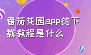 番茄花园app的下载教程是什么