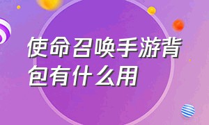 使命召唤手游背包有什么用（使命召唤战区手游）