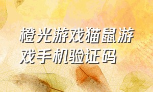 橙光游戏猫鼠游戏手机验证码