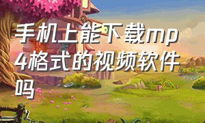 手机上能下载mp4格式的视频软件吗