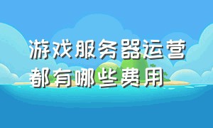 游戏服务器运营都有哪些费用（10万人的游戏服务器要多少钱）