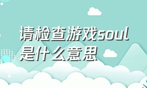 请检查游戏soul是什么意思