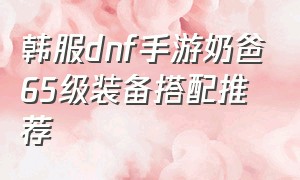 韩服dnf手游奶爸65级装备搭配推荐