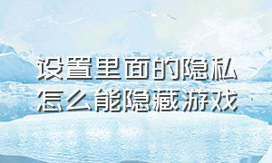 设置里面的隐私怎么能隐藏游戏（设置里面的隐私怎么能隐藏游戏软件）