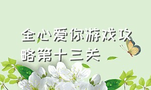 全心爱你游戏攻略第十三关