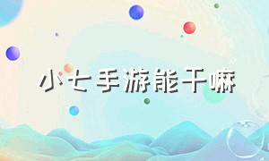 小七手游能干嘛