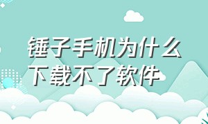 锤子手机为什么下载不了软件