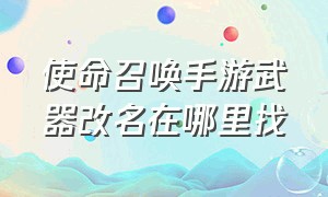 使命召唤手游武器改名在哪里找