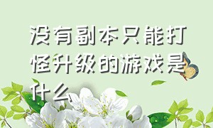 没有副本只能打怪升级的游戏是什么（打怪升级副本游戏排行榜）