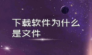 下载软件为什么是文件（为什么下载的软件是文件形式）