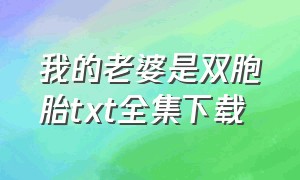 我的老婆是双胞胎txt全集下载