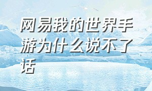 网易我的世界手游为什么说不了话