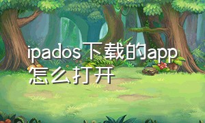 ipados下载的app怎么打开