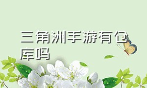 三角洲手游有仓库吗（三角洲手游值得下载吗）