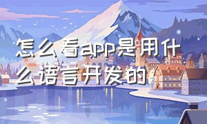 怎么看app是用什么语言开发的