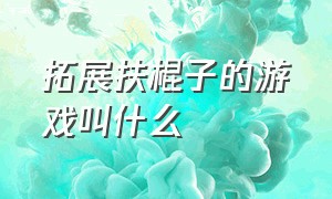 拓展扶棍子的游戏叫什么