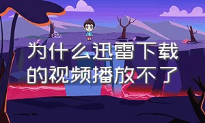 为什么迅雷下载的视频播放不了