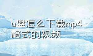 u盘怎么下载mp4格式的视频