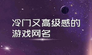 冷门又高级感的游戏网名