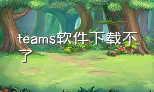 teams软件下载不了